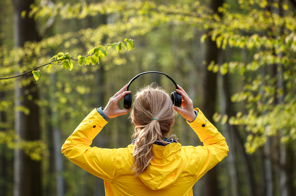 Domaines de la santé 