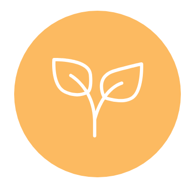 Plantes