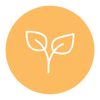 Plantes