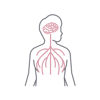 Corps